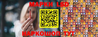 шишки Гагарин