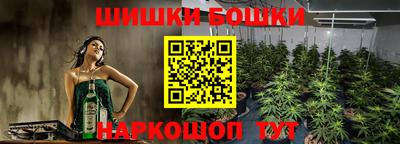 шишки Гагарин