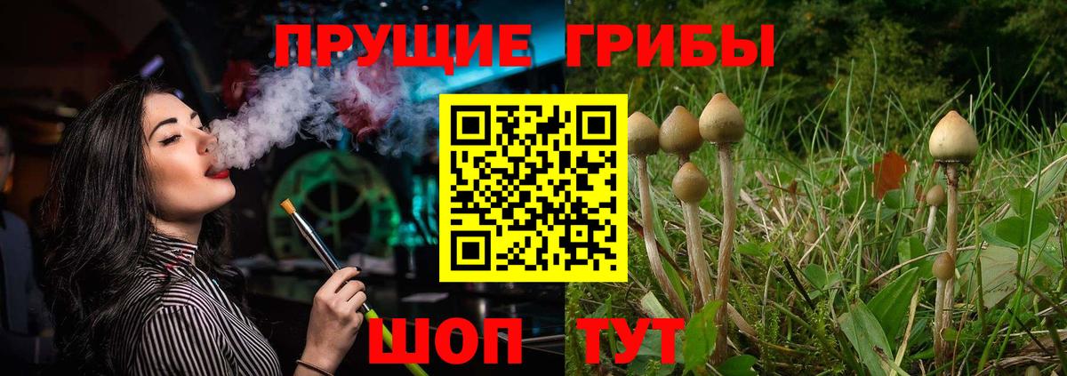 Галлюциногенные грибы мицелий Дзержинск