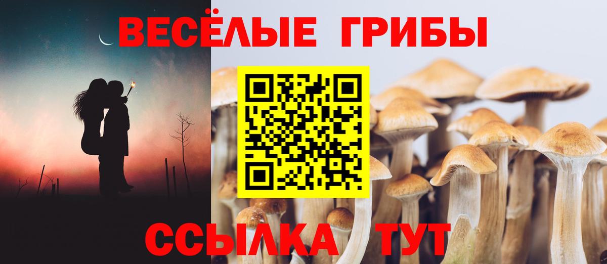 Псилоцибиновые грибы Psilocybe  Галлюциногенные грибы Cubensis  Дзержинск  Вход с VPN 